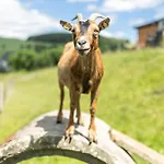 Ferienbauernhof Goerdes 아파트 *