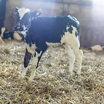 Ferienbauernhof Goerdes 아파트 슈말렌부르크