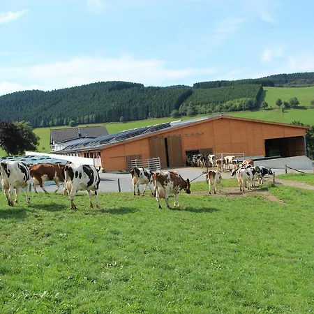 Ferienbauernhof Gördes * Schmallenberg