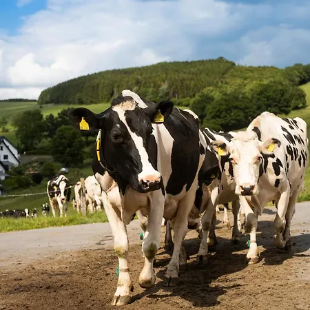 Ferienbauernhof Goerdes * שמאלנברג