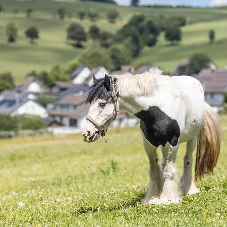 Ferienbauernhof Goerdes * שמאלנברג