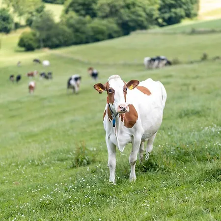 Appartamento Ferienbauernhof Goerdes *