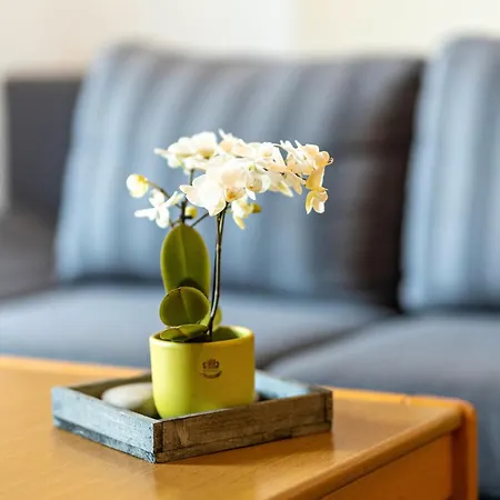 Ferienbauernhof Goerdes *