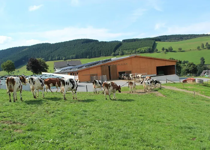 Ferienbauernhof Goerdes * Schmallenberg
