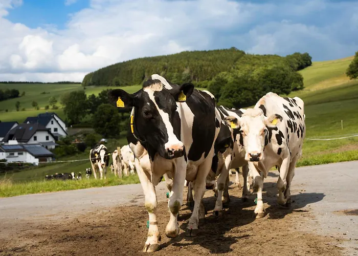 Ferienbauernhof Goerdes * Schmallenberg