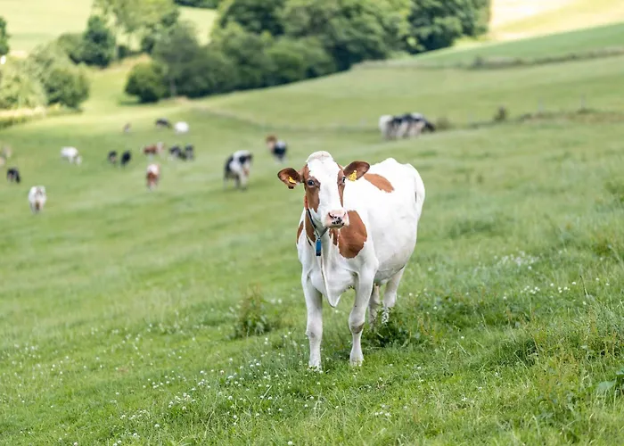Daire Ferienbauernhof Goerdes *